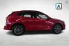 Ford Kuga 2,5 Ladattava hybridi (PHEV) 225hv CVT FWD ST-Line Thumbnail 6